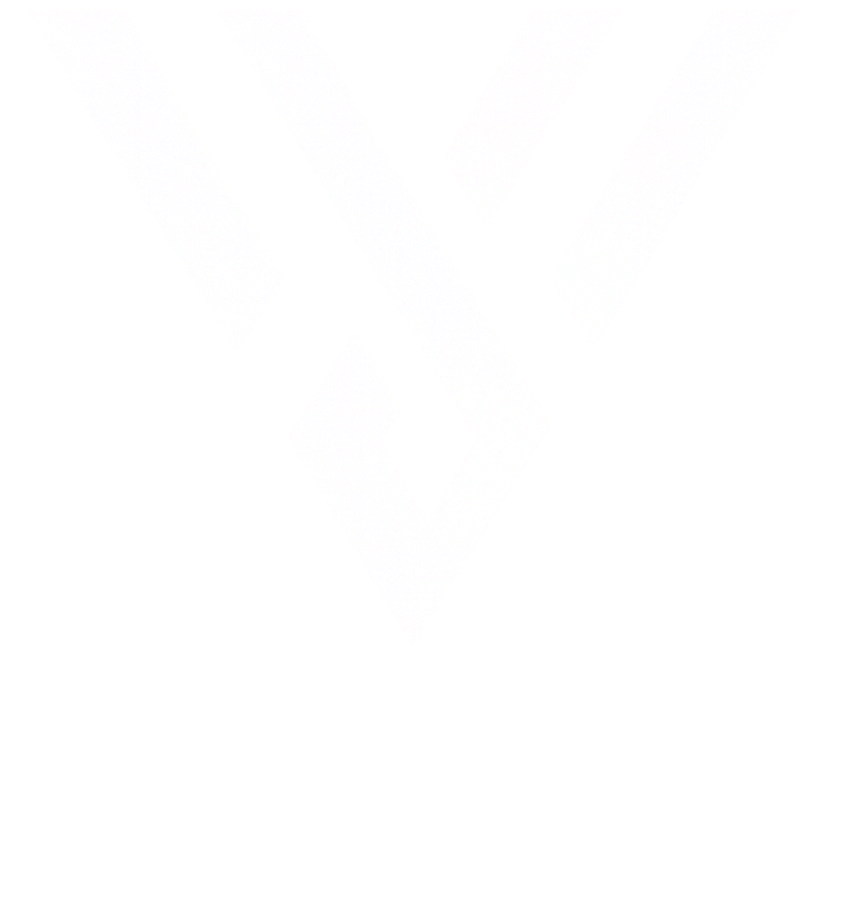 Visionary Capital Group